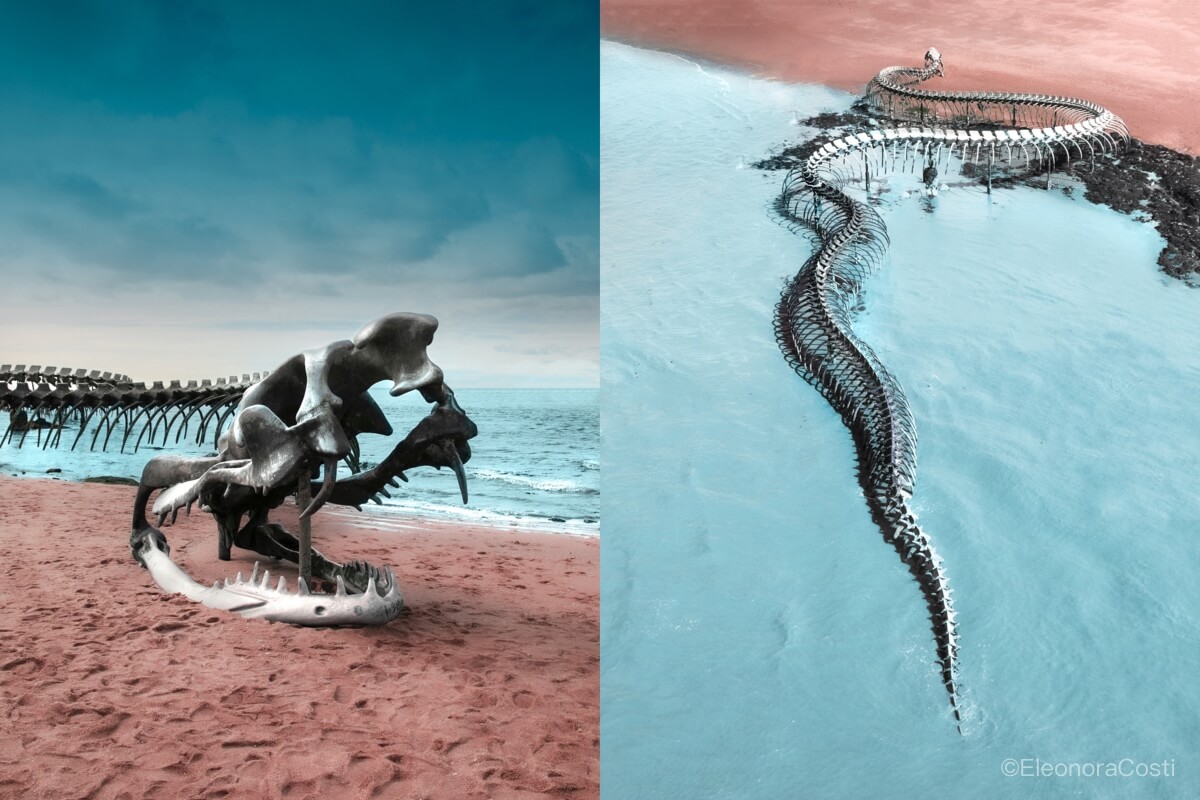 Serpent d'Ocean